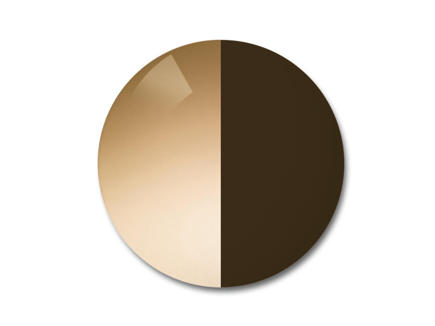 ZEISS AdaptiveSun Gradient Brown, z lekkim gradientem oraz intensywniejszym jednorodnym barwieniem.