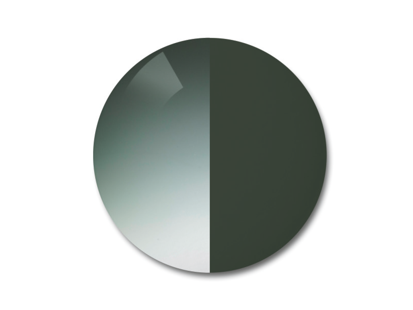 ZEISS AdaptiveSun Gradient Pioneer, z lekkim gradientem oraz intensywniejszym jednorodnym barwieniem.