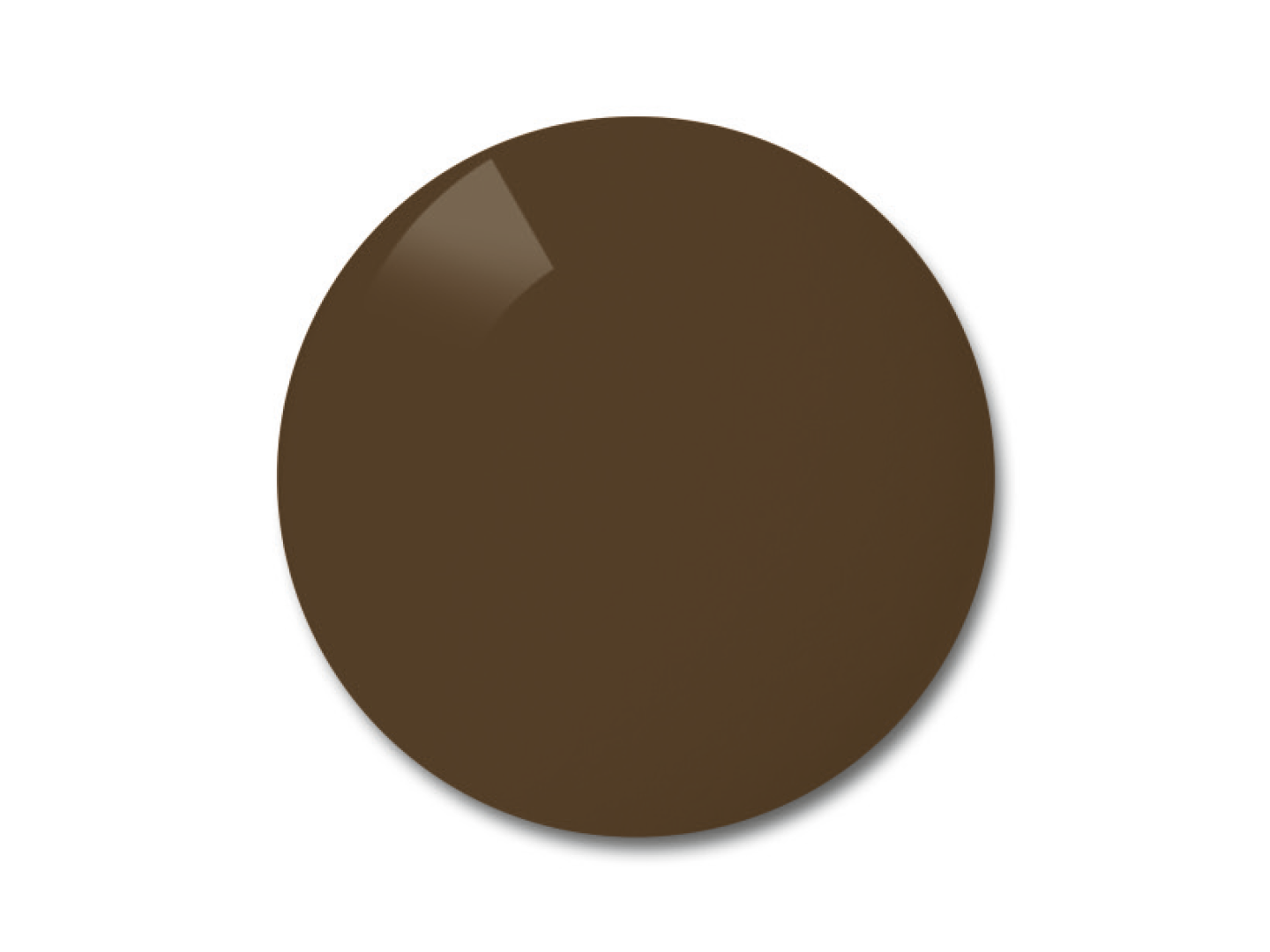 Obraz soczewek ZEISS z polaryzacją w opcji kolorystycznej brązowej